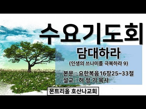 [수요기도회]담대하라(인생의 쓰나미를 극복하라 9)