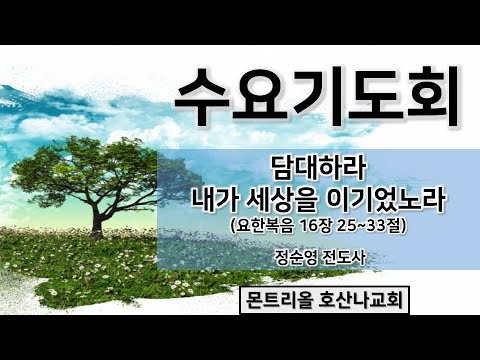 [수요기도회]담대하라 내가 세상을 이기었노라