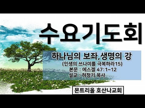 [수요기도회]하나님의 보좌, 생명의 강