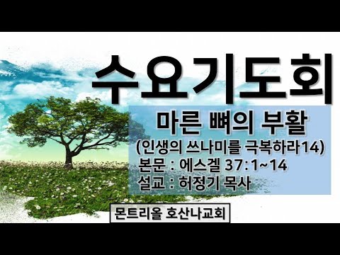 [수요기도회]마른 뼈의 부활