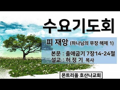 [수요기도회]재앙 (하나님의 무장 해제 1)