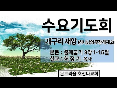[수요기도회]개구리 재앙 (하나님의 무장 해제2)