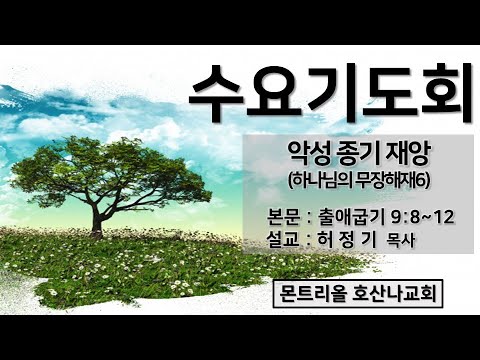 [수요기도회]악성 종기 재앙