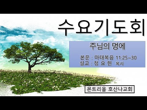 [수요기도회]주님의 멍에