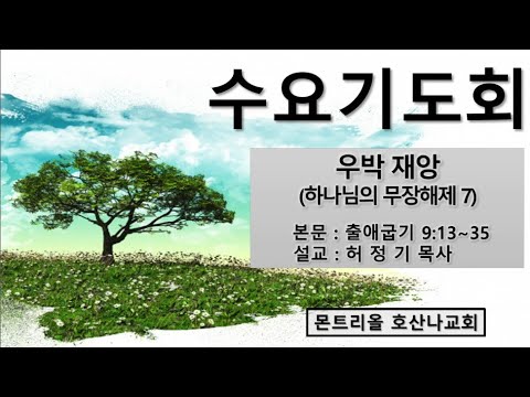 [수요기도회]우박 재앙 (하나님의 무장해제 7)