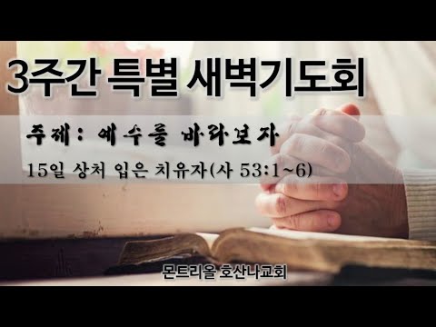 [특별새벽기도회]상처 입은 치유자_14일차