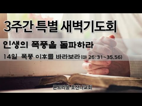 [특별새벽기도] 폭풍 이후를 바라보라 14일차